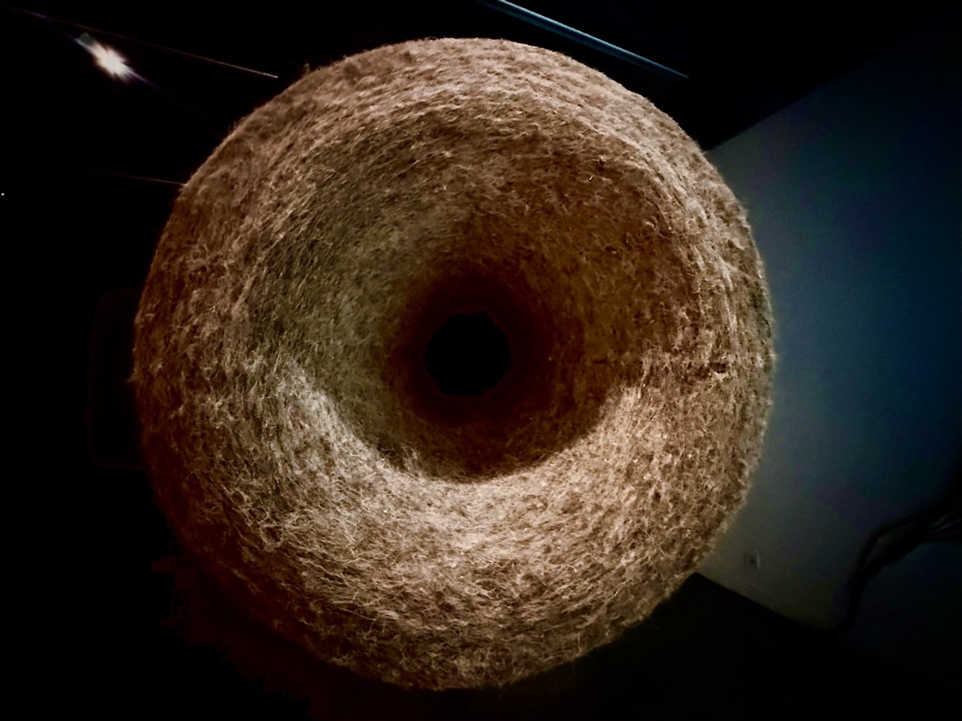 Silent meeting (2025) mixed media, 1250x70x60cm